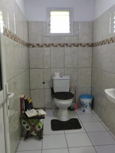 a bathroom with a toilet and a sink at Blue Lagoon villa en bord de plage in Sainte Marie