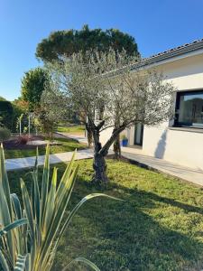 a tree in a yard next to a building at Villa haut de gamme Montauban in Montauban