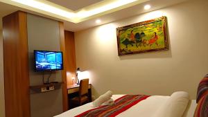 TV a/nebo společenská místnost v ubytování Hotel Sherpani