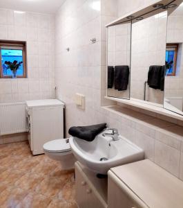a bathroom with a sink and a toilet and a mirror at Großzügige, komfortable Wohnung in Burgstaedt