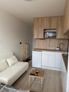 Nhà bếp/bếp nhỏ tại Sky apartment in the center Kosice
