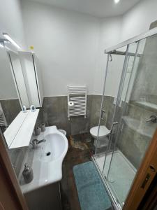 a bathroom with a shower and a sink and a toilet at Calabria is Home in Crotone +16 photos
