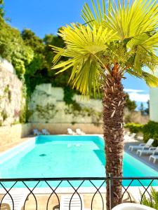 a palm tree next to a swimming pool at Timiama Hotel & Apartments in Peschici