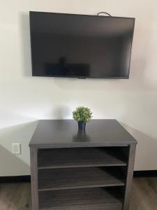 a table with a potted plant on top of it at Southern Suites Forest Park in Forest Park