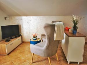 Μια τηλεόραση ή/και κέντρο ψυχαγωγίας στο Apartments Villa PM