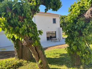 Zahrada ubytování Chambre d'hôtes AU CHAUVET