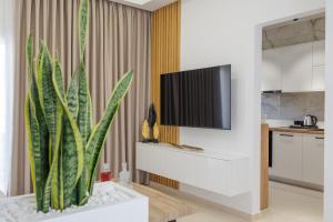 a living room with a television and a plant at ELiXiR 3 Luxury apartments in Agios Nikolaos