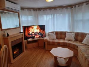 a living room with a couch and a fireplace at Etang de Peyrilhac in Peyrilhac