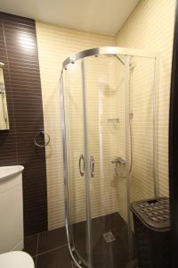 a shower with a glass door in a bathroom at Parkzicht Gent in Ghent