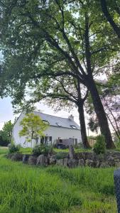 Vonkajšia záhrada v ubytovaní Le Tigîte B&B, Suite autonome avec entrée indépendante, petit-déj et linge fourni, pour 1 à 4p -Queen size et canapé lit double-