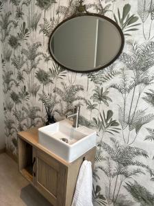 a bathroom with a sink and a mirror on a wall at Fallen Oak Villa 1 in George +47 photos