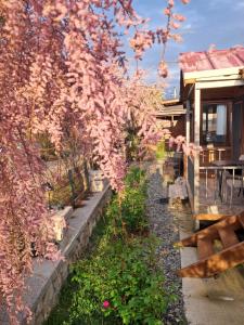 un albero ricoperto di fiori rosa accanto a una casa di Yeniliman Bungalov Evleri- Sümbül Adlı Ev -Karaburun -İzmir a Karaburun