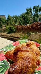 Φωτογραφία από το άλμπουμ του Ibisco Hotel σε Rodi Garganico