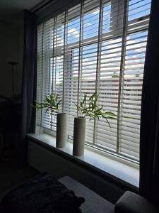 アッセンにあるStads appartementのギャラリーの写真