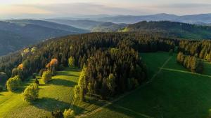 Príroda v okolí apartmánu