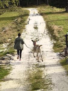 Fotografia z galérie ubytovania Domek Przyjacielówka Czarna Góra Sienna Janowa Góra Stronie Śląskie v destinácii Stronie Śląskie