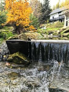 Príroda v okolí apartmánu