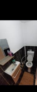 a bathroom with a sink and a toilet at GARSONIERĂ in Arad