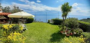 a garden with an umbrella and a palm tree at OYRANIA -Μαυροβούνι Γυθείου- Σπίτι με θέα in Mavrovoúnion +3 photos