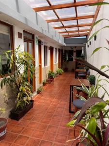 a corridor of an office building with plants at HOSTAL Aly 3 in Otavalo +24 photos