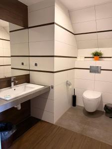 a bathroom with a sink and a toilet at Szklarnia Restauracja i Pokoje Gościnne in Swornegacie 