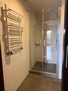 a bathroom with a shower with a glass door at Szklarnia Restauracja i Pokoje Gościnne in Swornegacie 