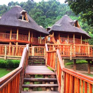 uma escada de madeira que leva a duas cabanas com telhados de palha em Trackers Safari Lodge Bwindi em Buhoma
