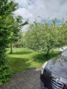 Zahrada ubytování FLORES, Ferienhaus oder Doppelzimmer, im Grünen, 5 Gehminuten ins Zentrum, Parkplatz, zero emissions