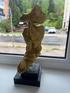 a statue sitting in front of a window at Hășmaș Peak Escape in Bălan