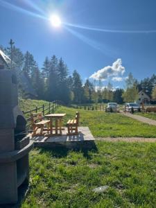 twee banken en een picknicktafel in een veld bij Pine forest-Black in Žabljak