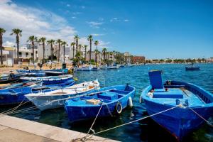 a group of blue boats docked in a harbor at Da MARTINA in Porto Cesareo