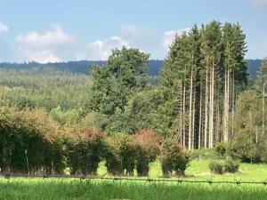 Naturlandschaft in der Nähe der Ferienwohnung