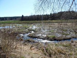 Naturlandschaft in der Nähe der Ferienwohnung