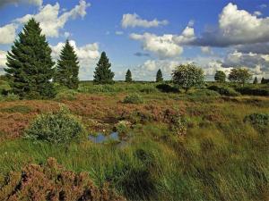 Naturlandschaft in der Nähe der Ferienwohnung