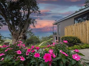 Gallery image of Mandarina Natural House in La Vega