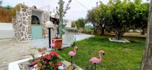 Zahrada ubytování MANOS Small House Kouremenos