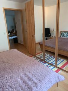 a bedroom with a bed and a large mirror at Schönes Appartement in Kehl Zentrum in Kehl am Rhein