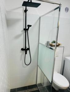 a shower in a bathroom with a toilet at Fühl dich wohl im Salzkammergut in Strobl +7 photos