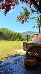 a bowl of food sitting on a table under a tree at Kerkinis Nest in Kerkini