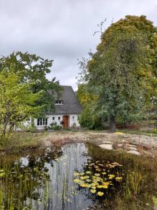 a house and a pond with lilies in front of it at Eifel Panorama in Speicher +7 photos