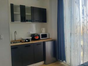 a kitchen with a sink and a microwave on a counter at Private place in the city center, private bathroom in Nice