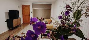 a living room with a couch and purple flowers at Cabañas Teave in Hanga Roa