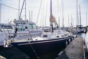 Naturlandskabet i nærheden af båden