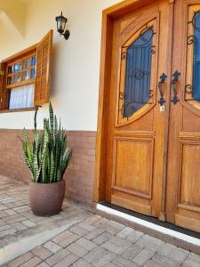 a wooden door with a potted plant in front of it at Loft Bourbon - Ideal para casais, família e trabalho in Itanhandu