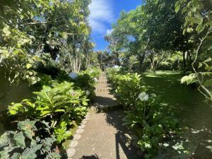 a garden with many plants and a pathway at Cabañas los Lirios de Apaneca in Apaneca