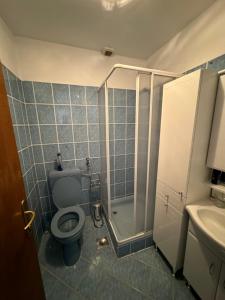 a bathroom with a toilet and a shower and a sink at Idas Guesthouse - Kuća na jezeru - Haus am See - Privatunterkunft - Čelebići kod Konjica in Železnička Stanica Ostrožac +24 photos