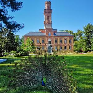 a large building with a clock tower in the grass at Appartement cosy parking privé in Tarbes