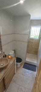 a bathroom with a shower and a toilet and a sink at villa Lucciana in Lucciana