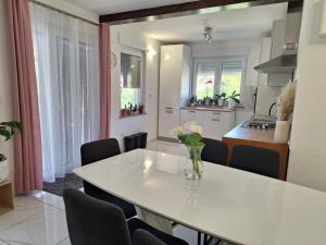 Kuchyň nebo kuchyňský kout v ubytování Holiday home Laura