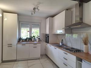 Kuchyň nebo kuchyňský kout v ubytování Holiday home Laura